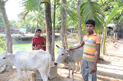 boy and woman standing by two cows