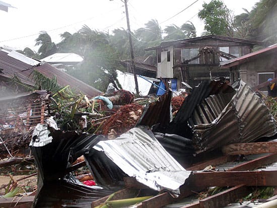surviving a typhoon debris