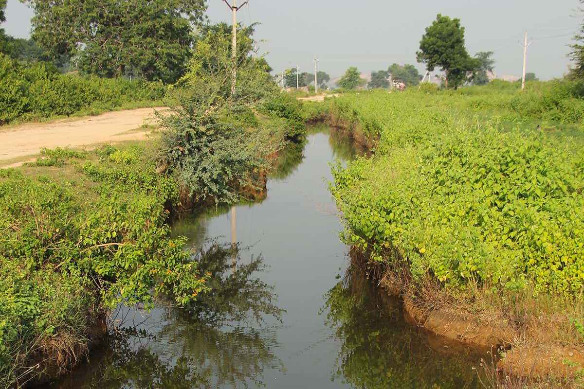 Sustainable Water Ditch