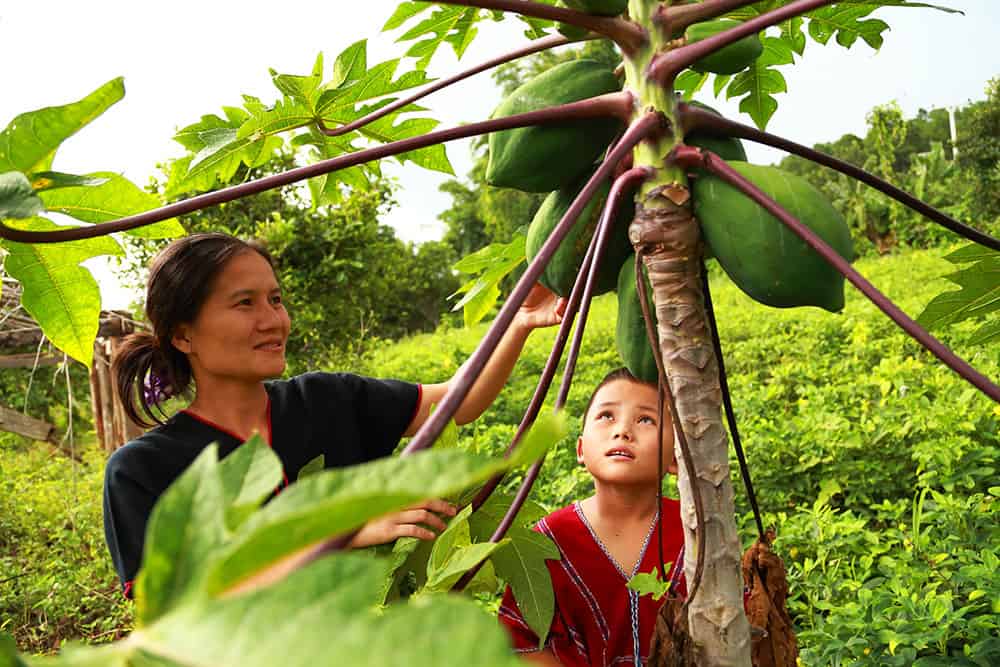 Farm to Table Helping