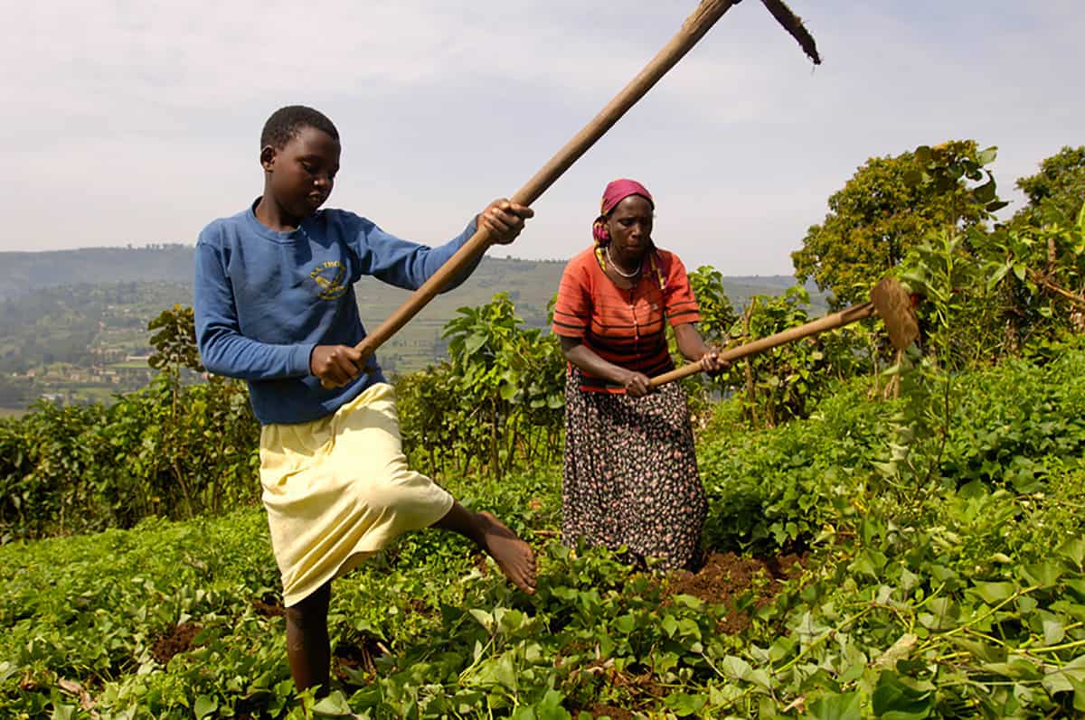 A mother and child working hard with hoes in a field