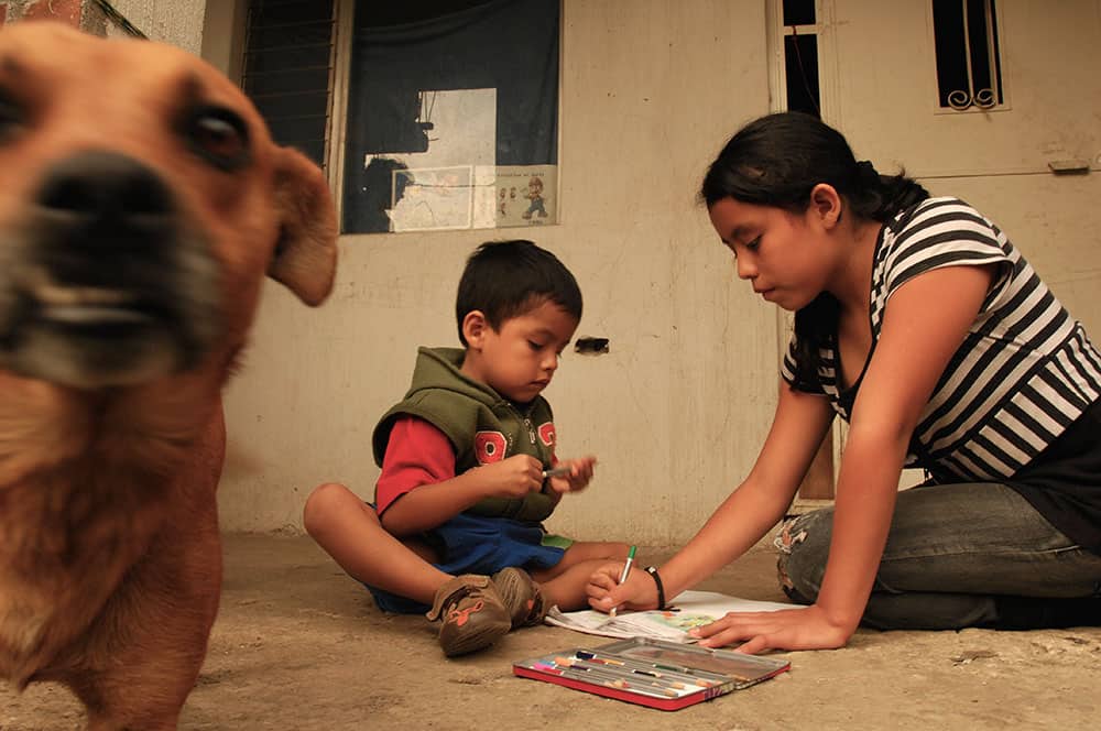 Photobomb dog in Guatemala