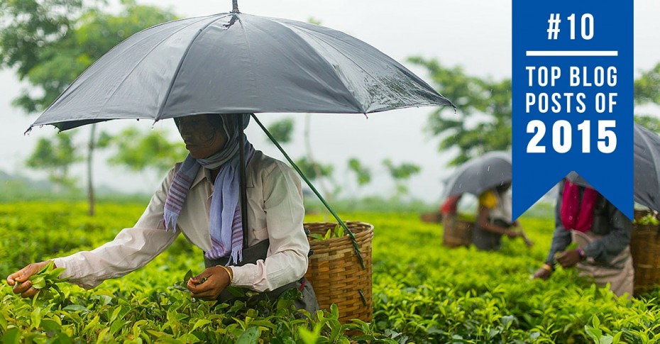 picture of a woman holdinFair Trade Tea Top Blogs 2015