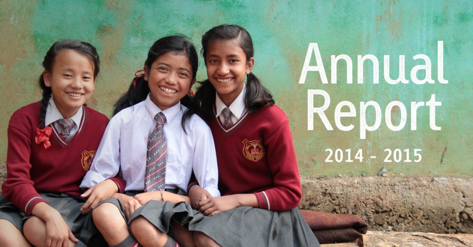 2015 annual report