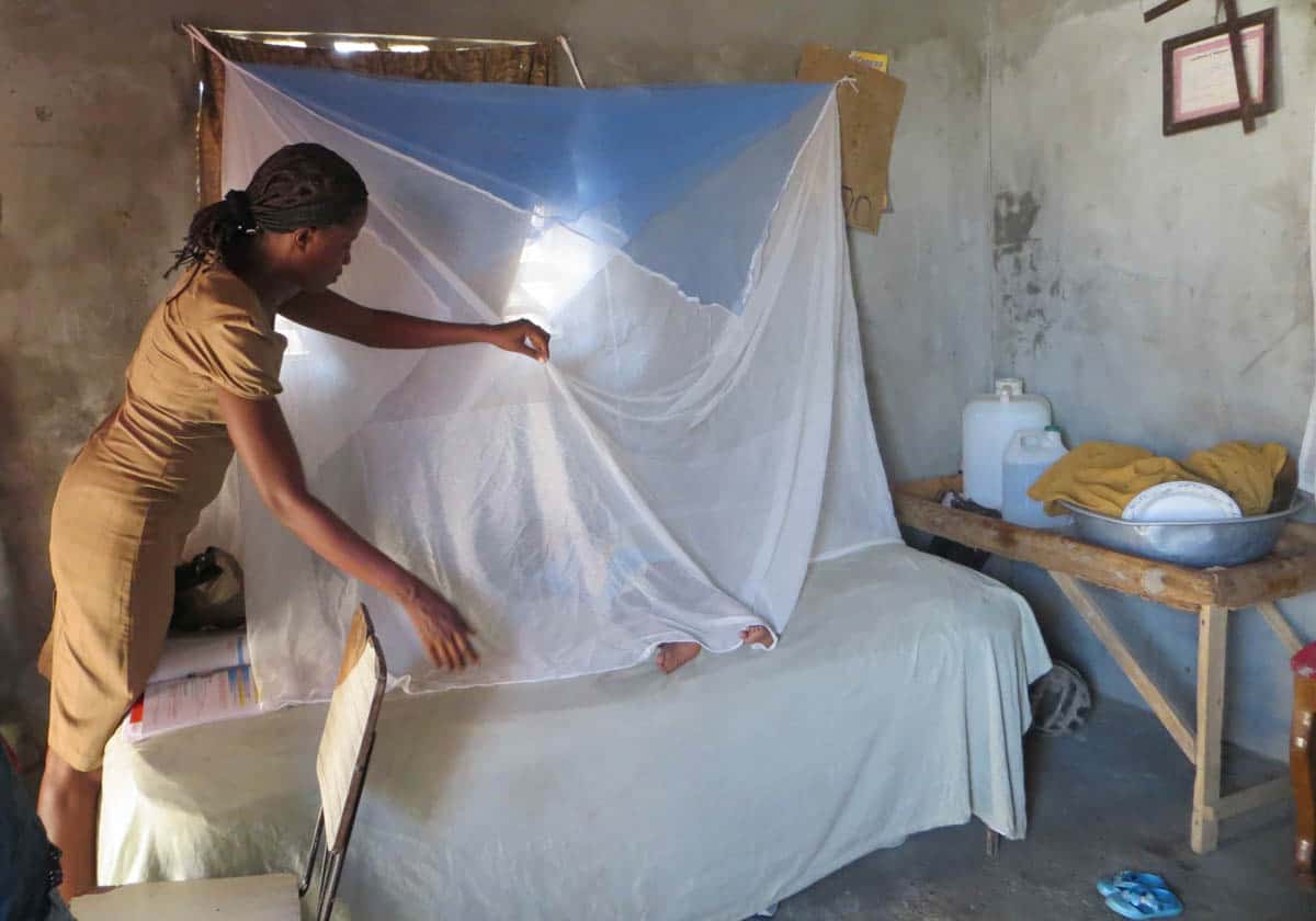 Zika Virus in the Americas Mosquito net