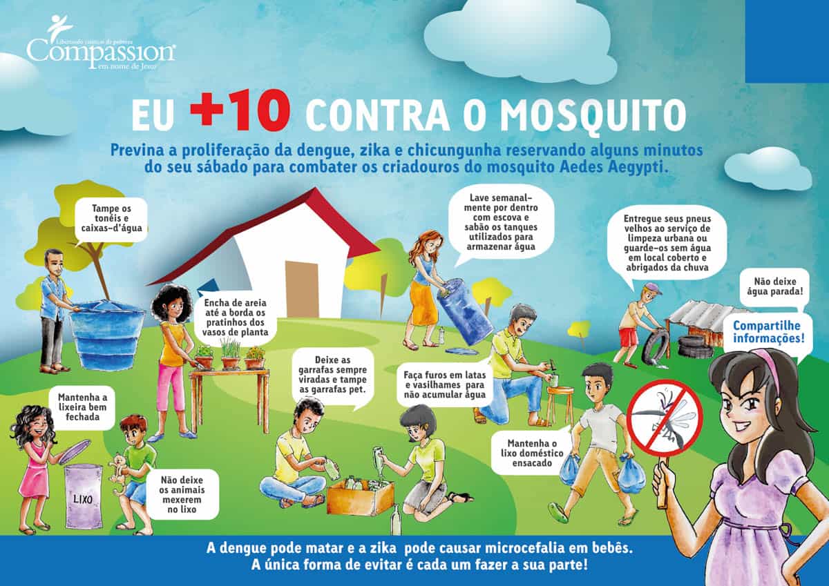 Zika Virus in Brazil Pregnancy Flyer