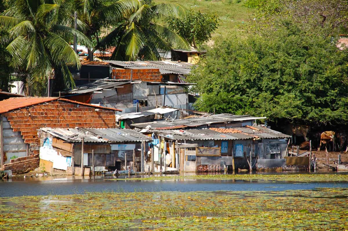 Zika Virus in Brazil Pregnancy Town