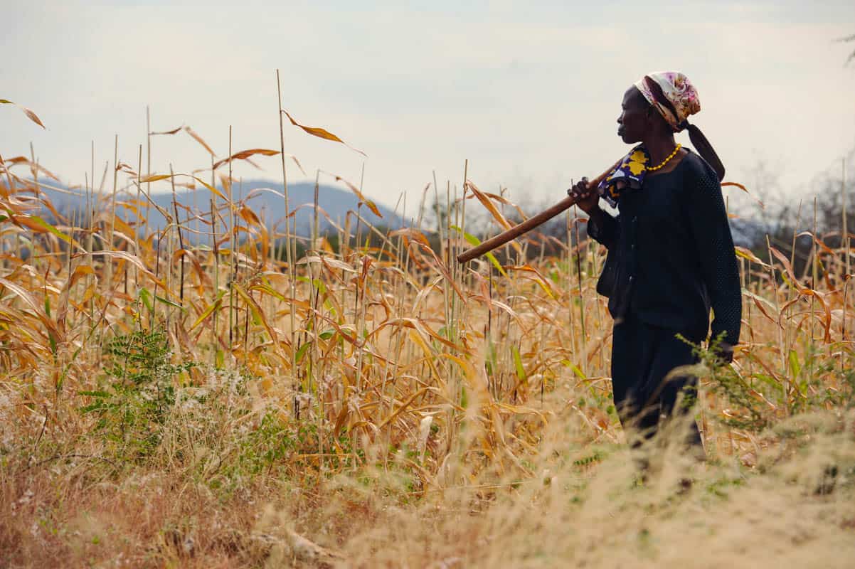 Drought in Ethiopia Famine