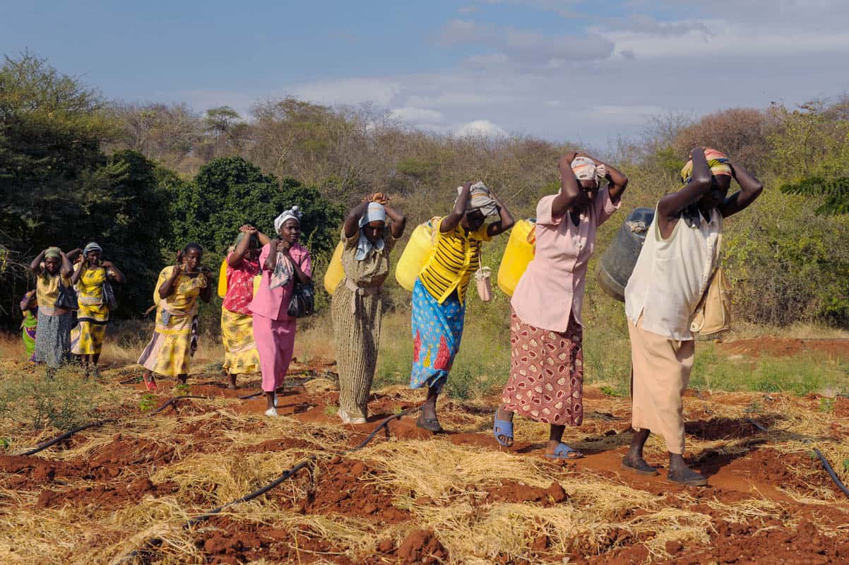 Drought in Ethiopia Famine