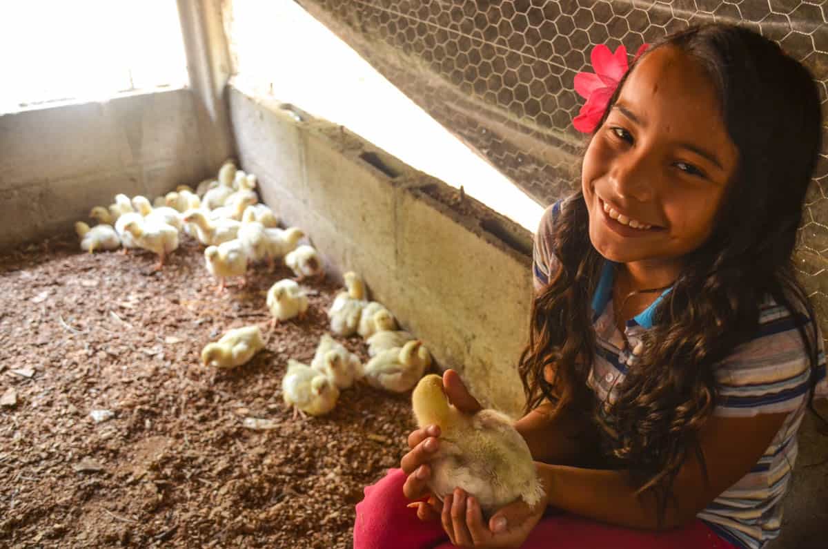 How to Beat Food Insecurity With Chickens, Gardens and Moms