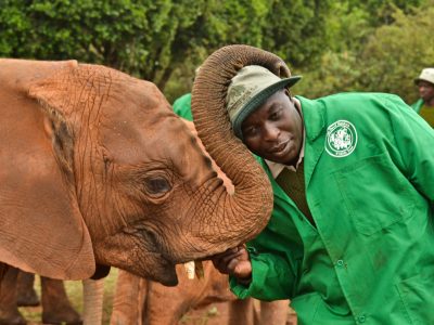 A Baby Elephant Rescuer Edwin