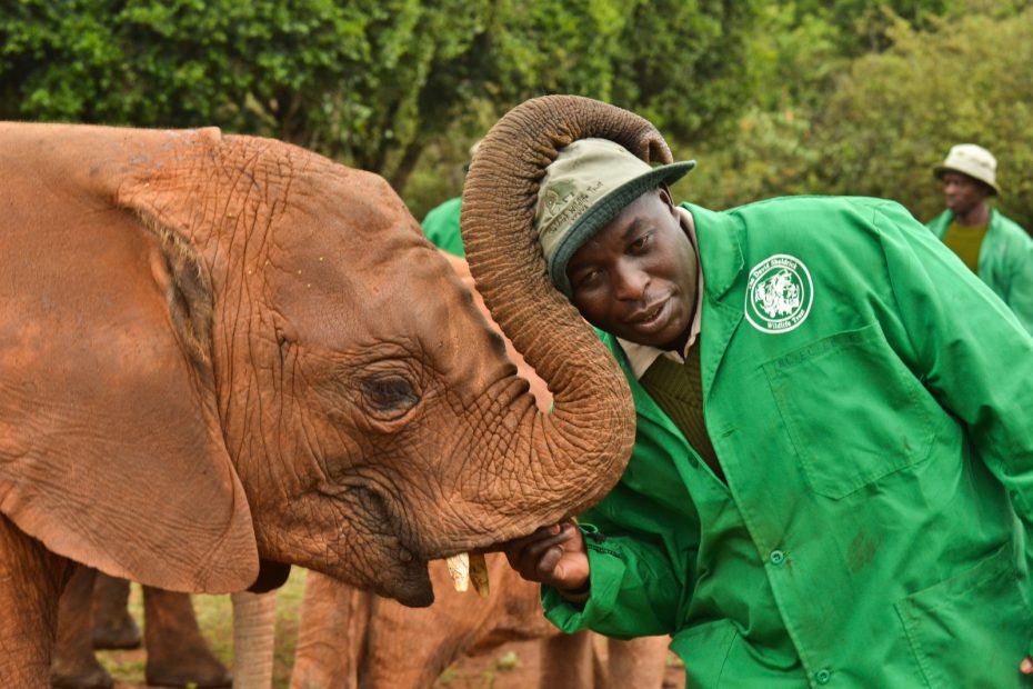 A Baby Elephant Rescuer Edwin