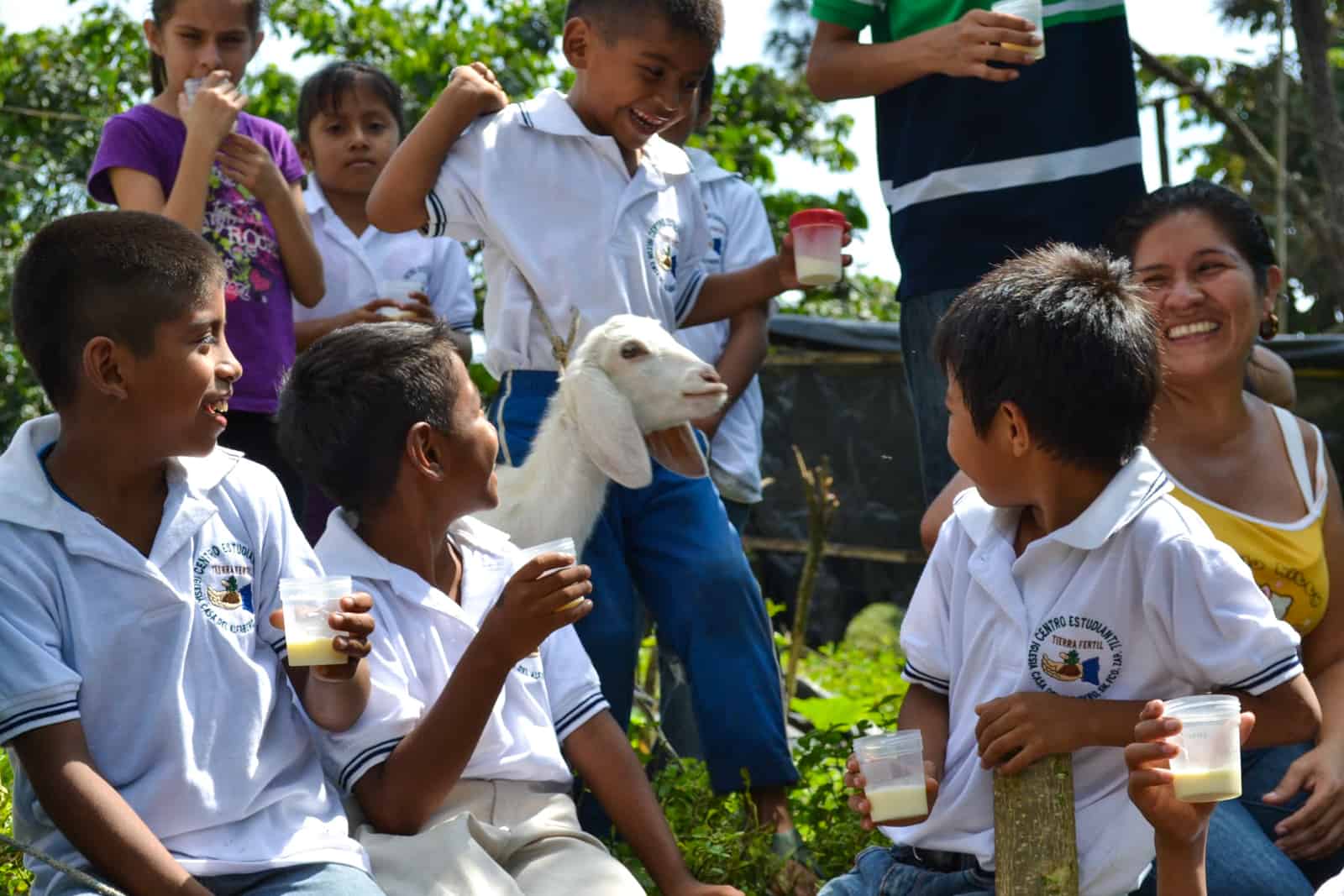 This Is What Happens When You Give Livestock to Families in Poverty