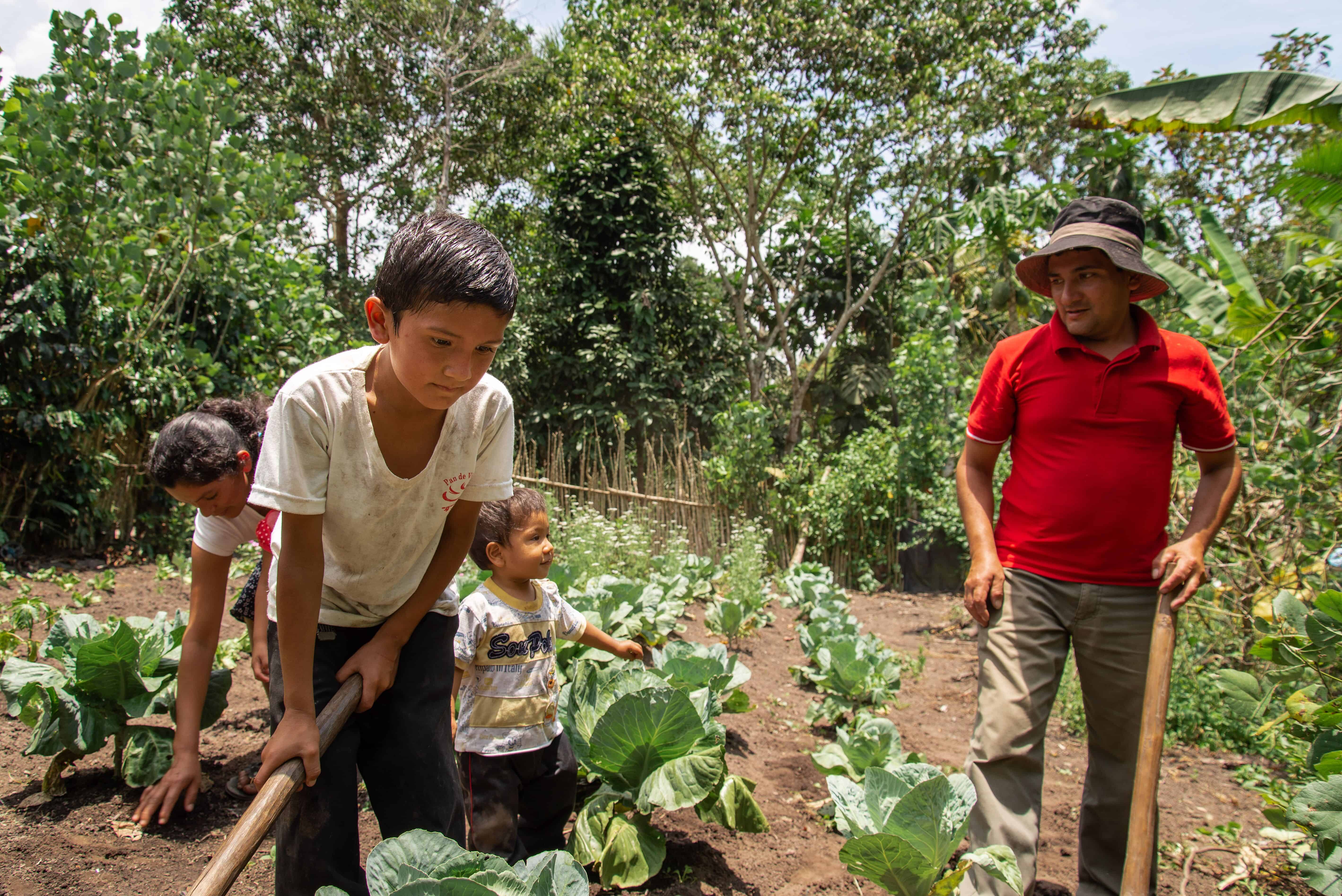 A young boy in a white shirt holds a hoe, standing in a vegetable garden. A man in a red shirt stands and watches, as a toddler plays nearby. 