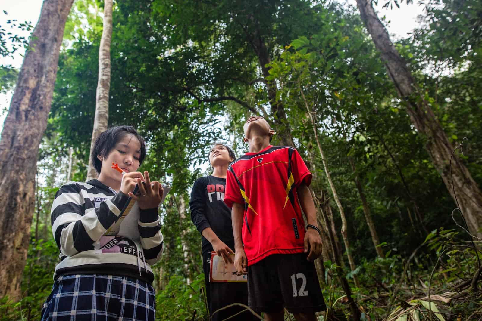 Three teenagers, two girls and a boy, stand in a green forest. One looks down, writing in a book, and two look up at the trees. 