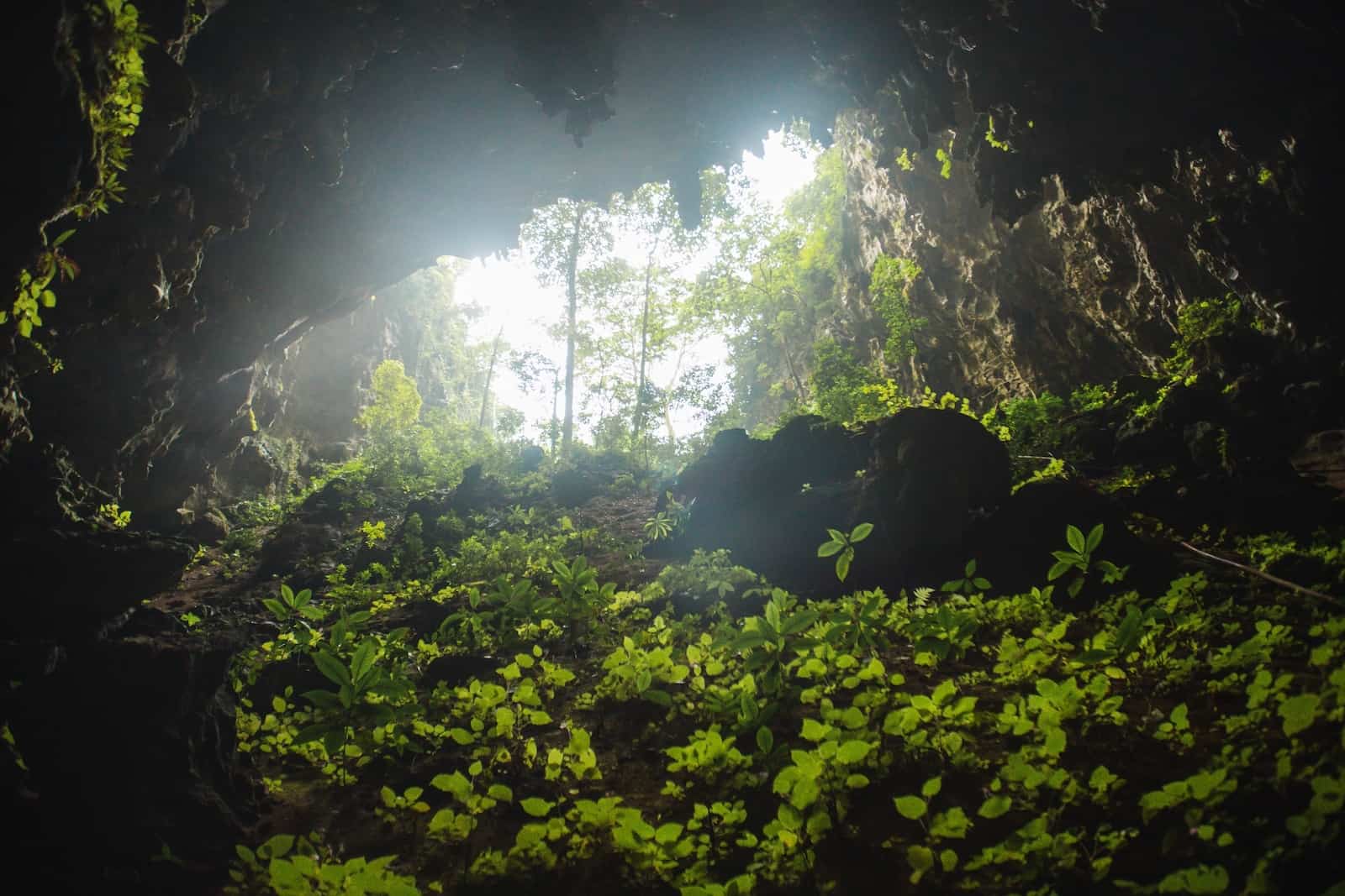 The mouth of the Tham Luang Nang Non cave in the Chiang Rai Province of Thailand, the site of the Thailand cave rescue; there is rock covered in foliage and trees outside the cave mouth.