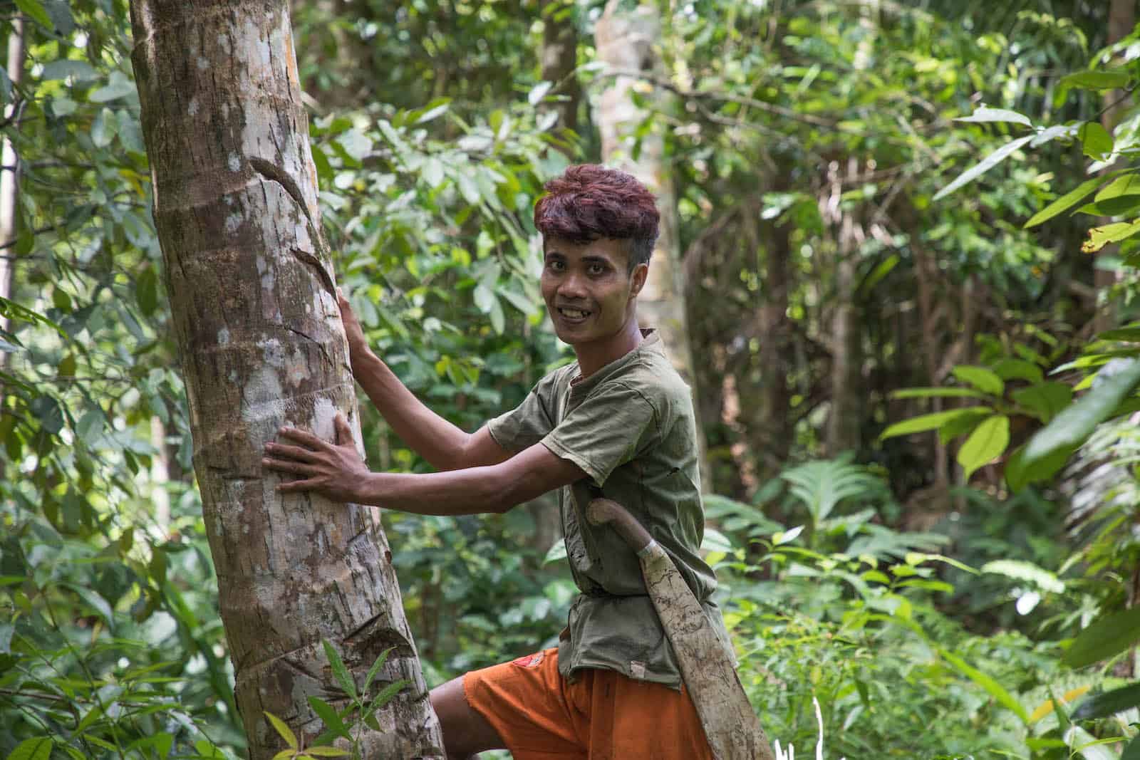 A man in a green shirt and orange shorts wears a machete around his waist and prepares to climb a palm tree. 