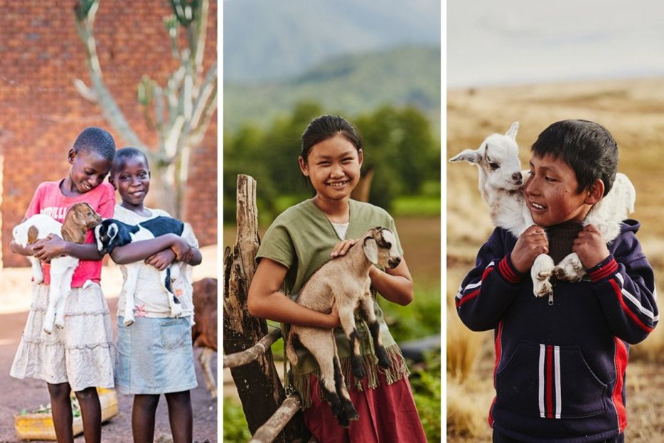 A collage of three pictures of children standing outside holding goats.