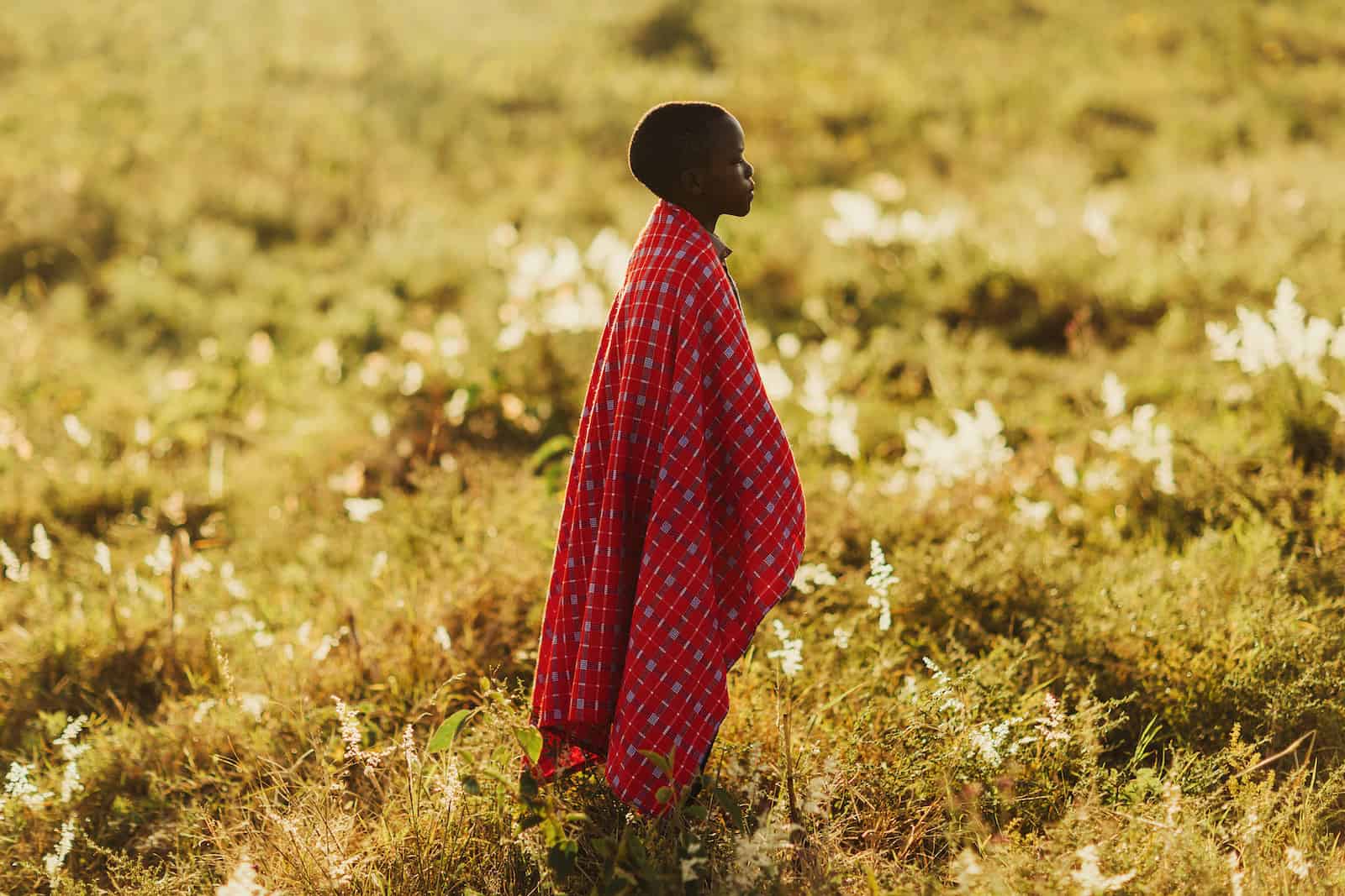 An orphan boy in a red checked blanket stands in a golden field, looking into the distance.