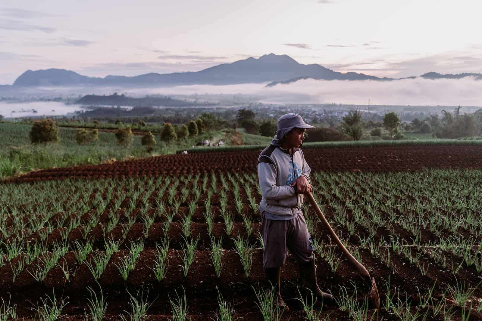 A man stands in a green field at sunrise, holding a hoe, with a mountain in the background.