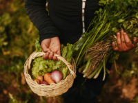 A girl holds a basket full of vegetables and holds vegetables in her arms.