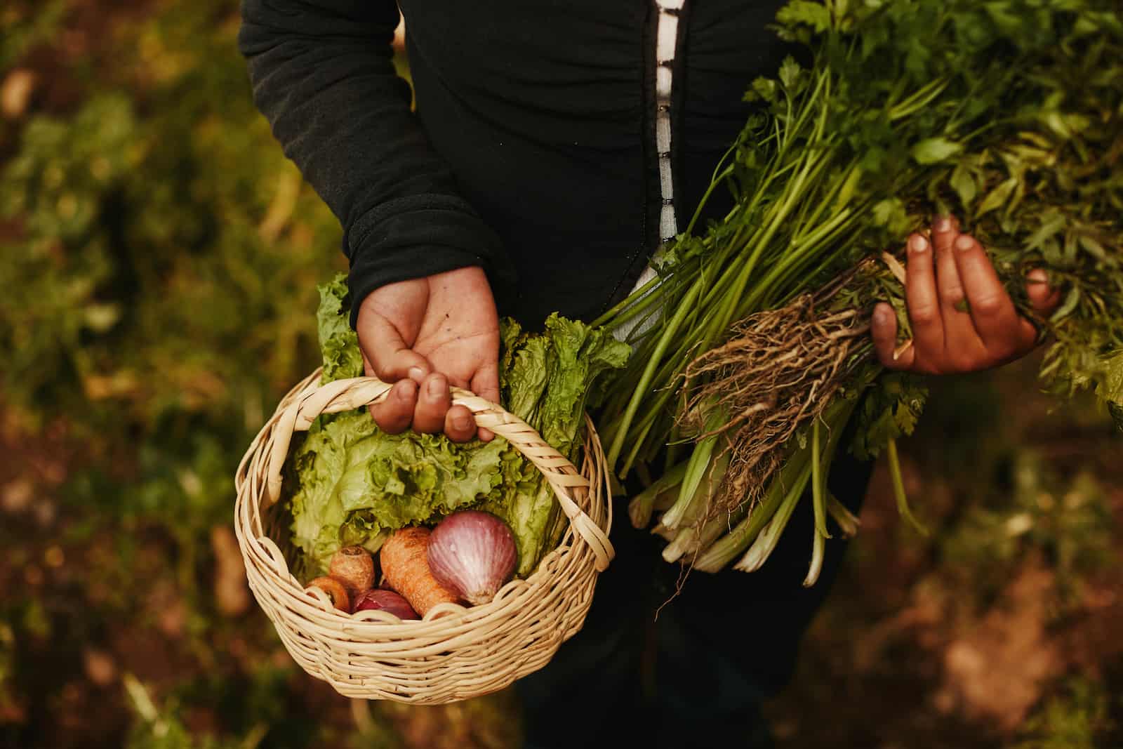 A girl holds a basket full of vegetables and holds vegetables in her arms.