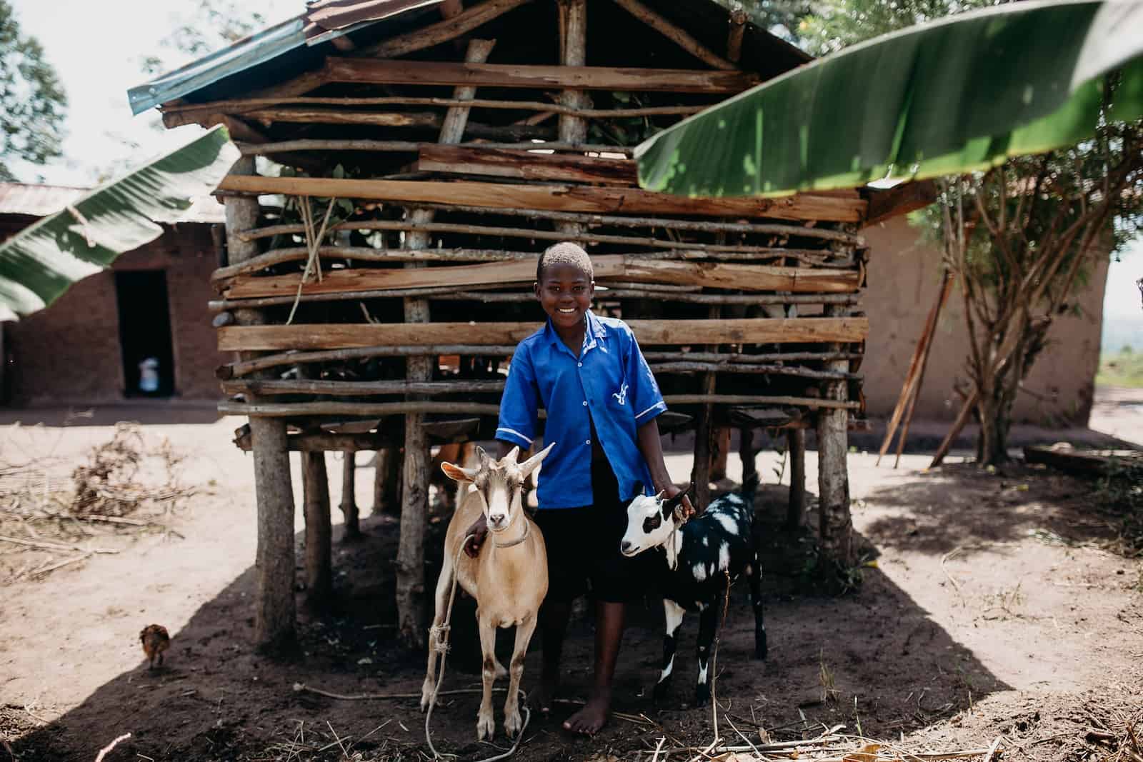 Patience and Her Goats Give a goat: a girl stands outside a wood animal pen with two goats.