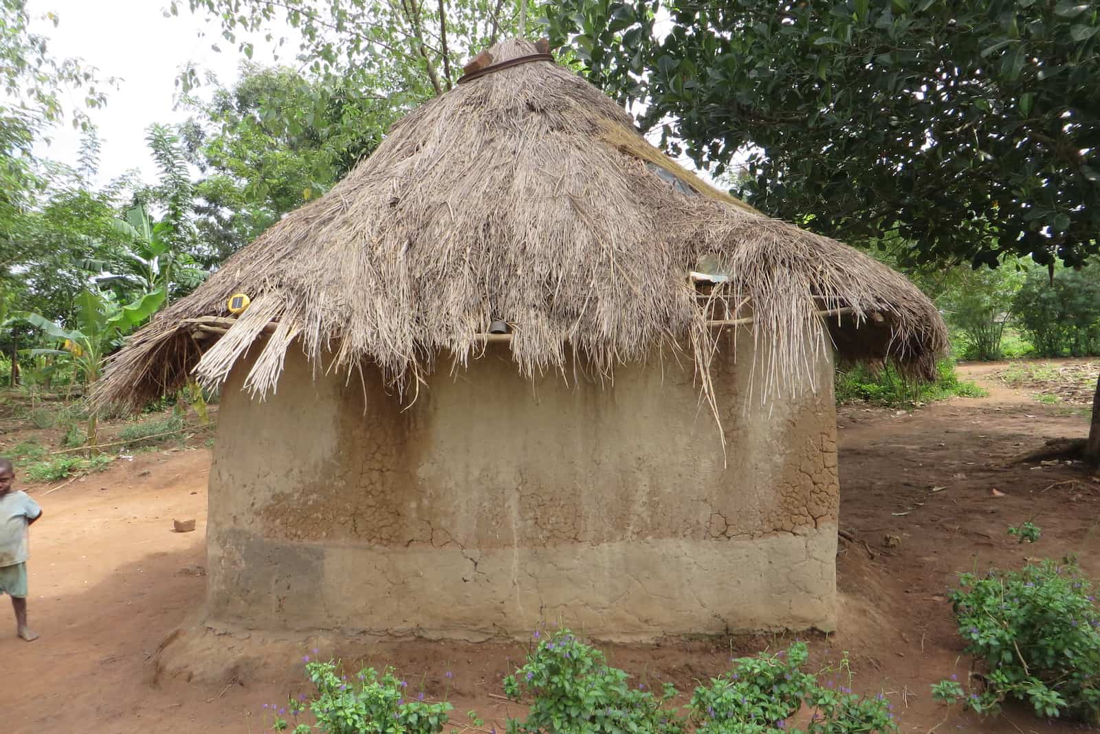 A small round mud home with a thatched roof. 