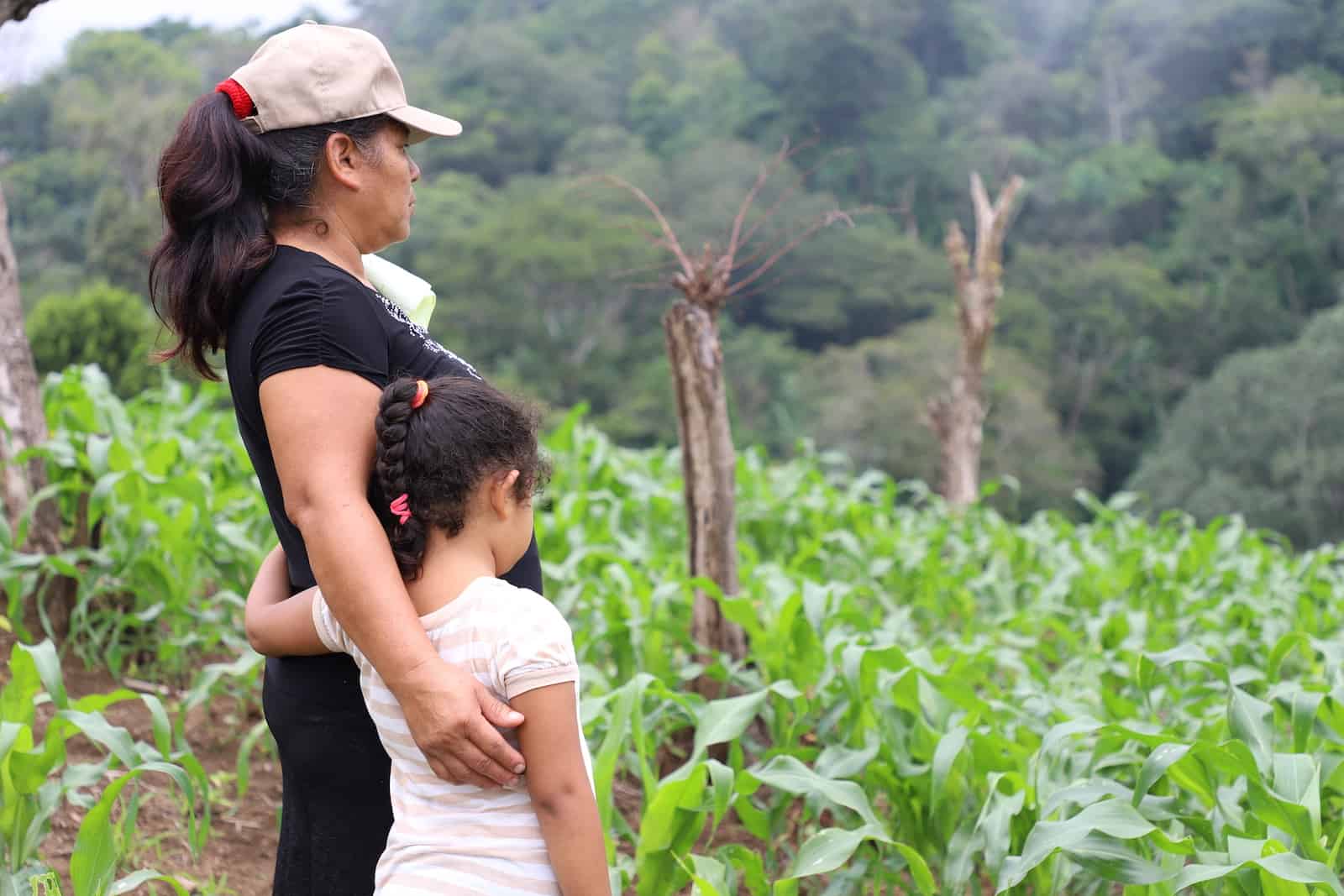 A woman hugs a little girl, looking out into a cornfield.