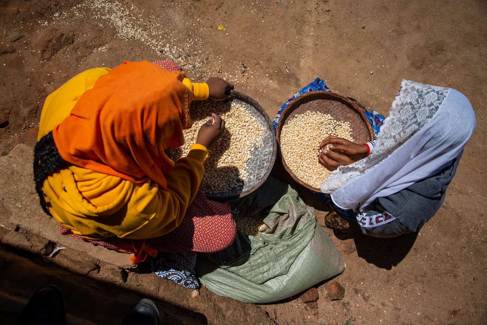 A photo of two girls from above, both sitting on the ground sorting grains.