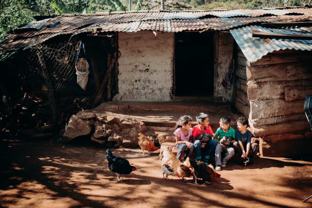 Children sitting on the steps in front of a building looking at each other and holding chickens. There are more chickens on the ground in front of them. The building is made of wood, corrugated metal an concrete.