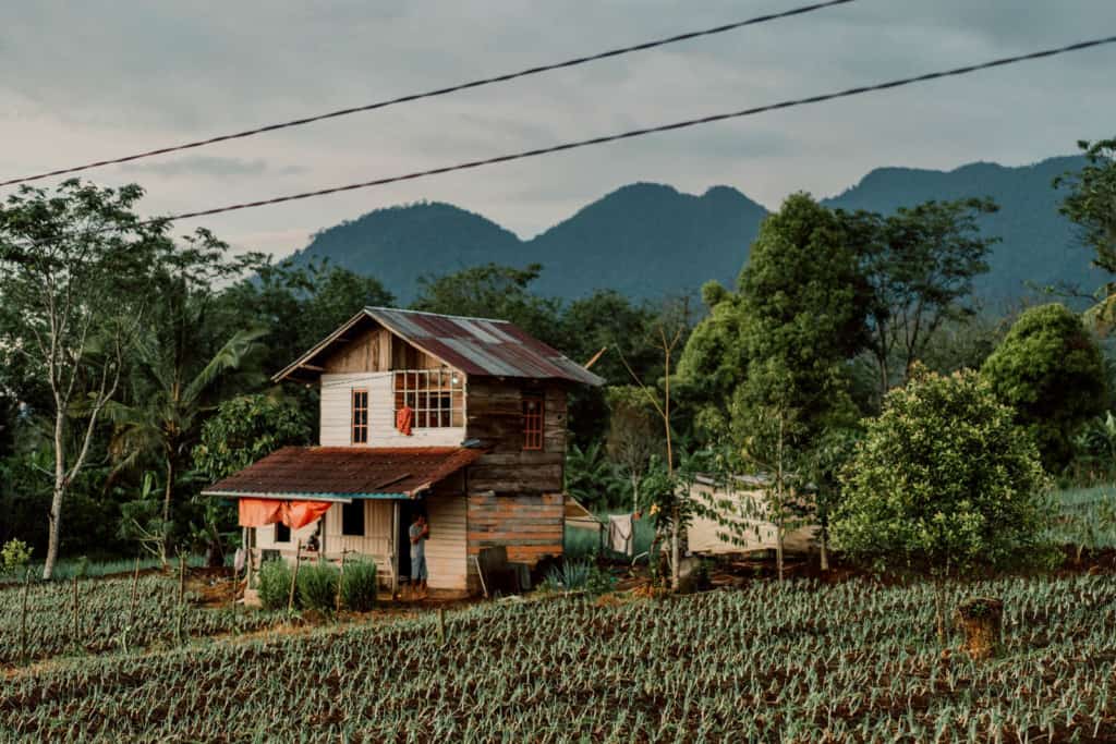 A house in the middle of a field. The house is made of mismatched matrials