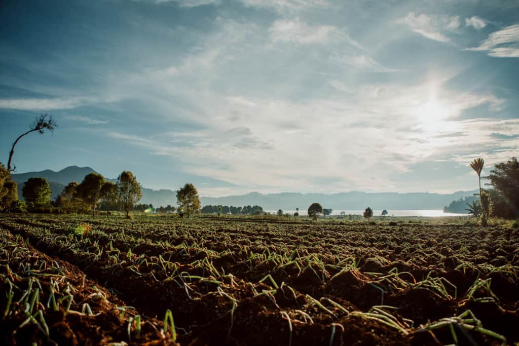 Scenic view of a field with water and mountains in the background.