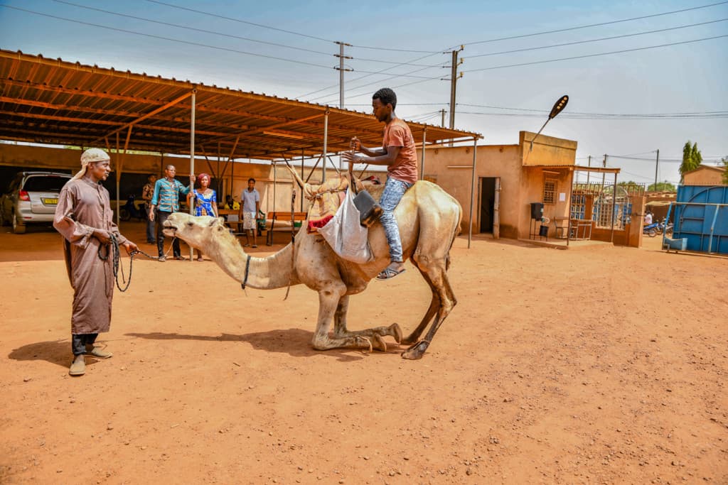Young man is wearing jeans and an orange shirt. He is riding on a camel outside the Compassion center.