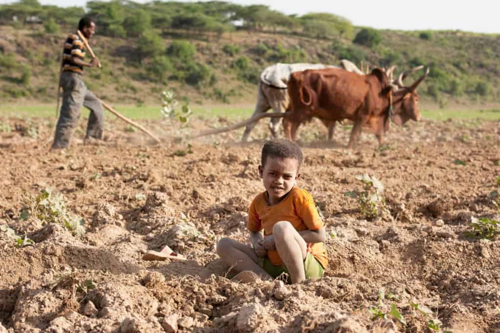 Boy sitting in a dirt field while a man with oxen plows in the background