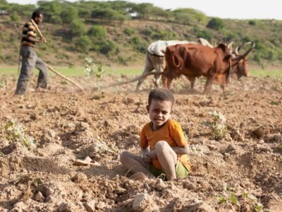 Boy sitting in a dirt field while a man with oxen plows in the background