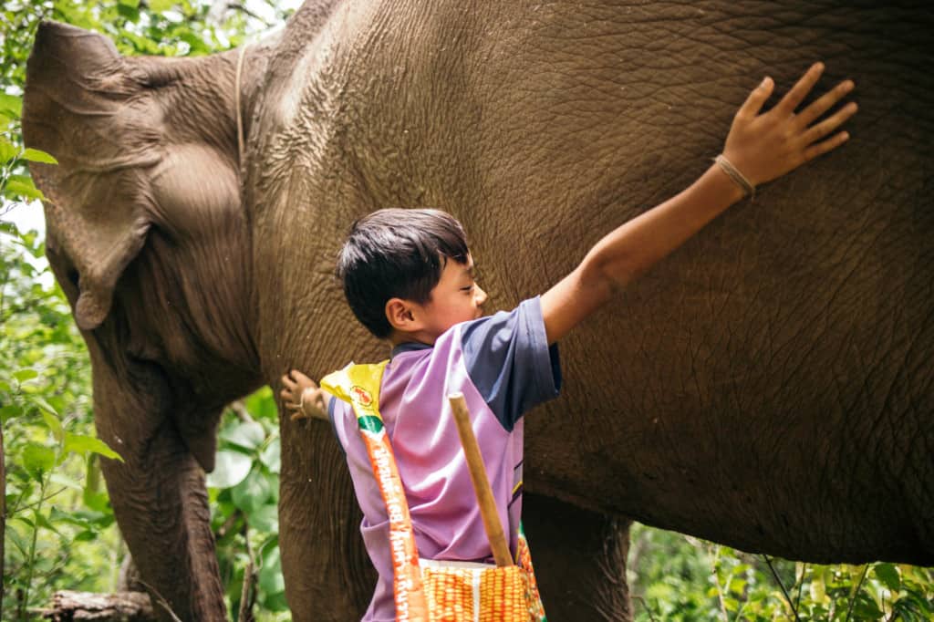 Boy wearing a purple shirt with a yellow bag around his shoulders. He is next to his elephant and is hugging the elephant.