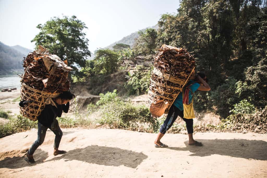 The villagers of Wakletha are carrying leaves for rebuilding and fixing their roofs. They are carrying the leaves in large baskets and there are trees in the background.