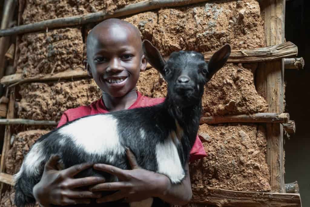 A young boy wearing a red T-shirt holds a black and white goat. He is standing in front of a structure made of mud and wood.