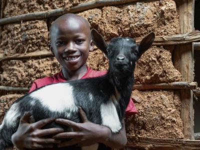 A young boy wearing a red T-shirt holds a black and white goat. He is standing in front of a structure made of mud and wood.