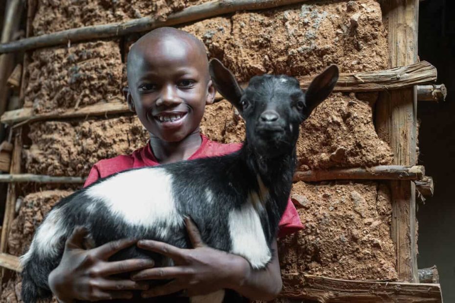 A young boy wearing a red T-shirt holds a black and white goat. He is standing in front of a structure made of mud and wood.