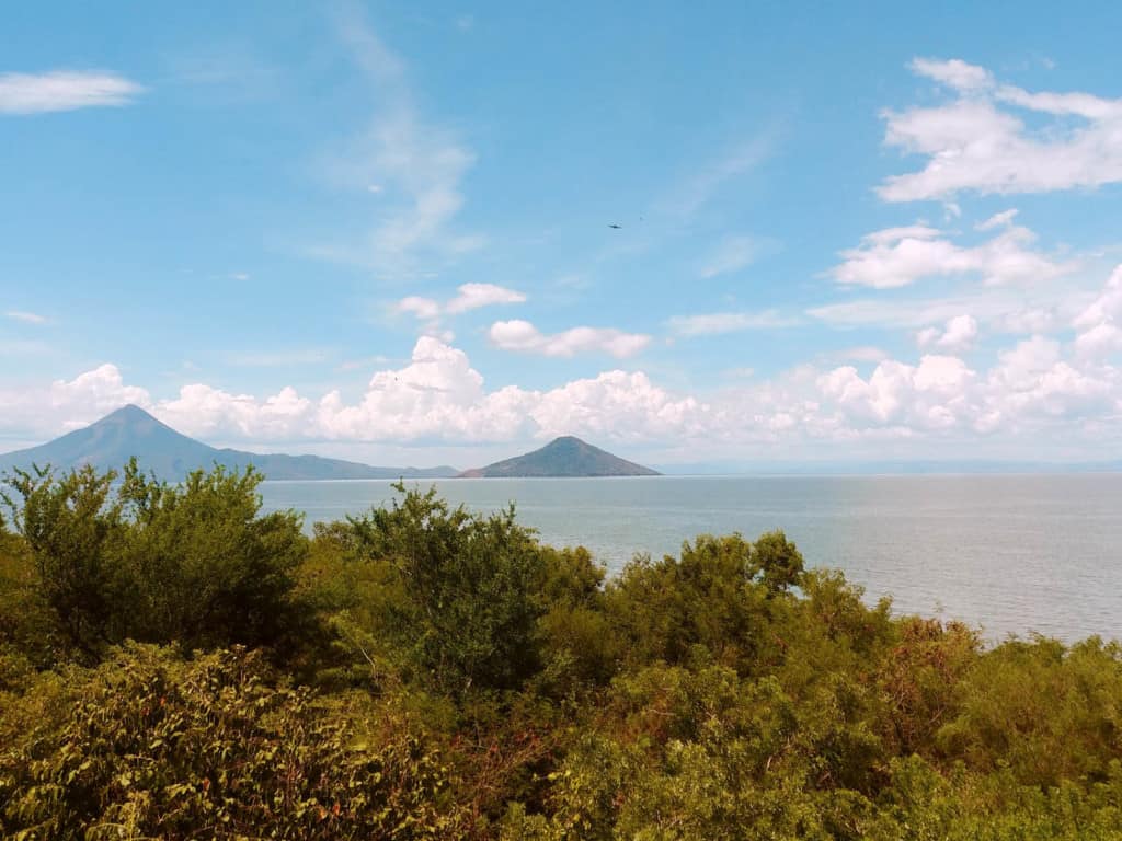 Landscape of the sea with trees in the foreground and mountains in the background.