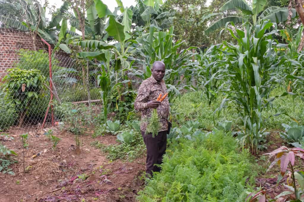 Pastor Cyrus is wearing a brown patterned shirt and brown pants. He is holding carrots and is standing in a garden he planted during the pandemic as part of a food security program.