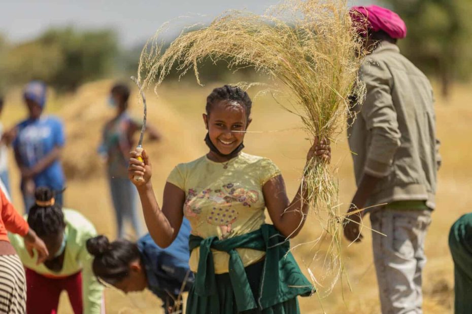 A girl wearing a yellow shirt is holdng a sickle in one hand and a plant she harvested in her other hand. Other people are behind her and are helping with the harvest.