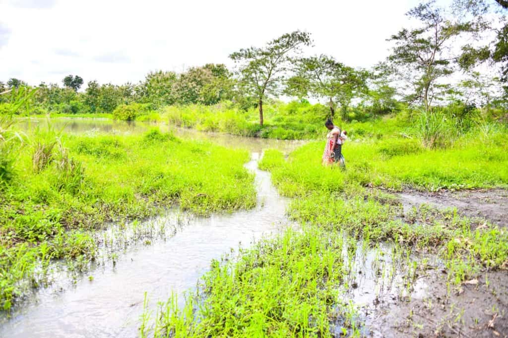 Woman wearing a colorfully patterned dress and is carrying her baby in a sling on her back. She is walking outside to collect water from the dam. There is a small stream in front of her and trees behind her.