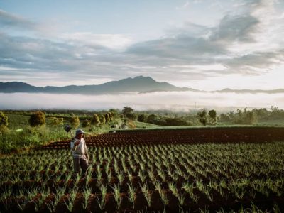A farmer stands in fields in the early morning in Indonesia
