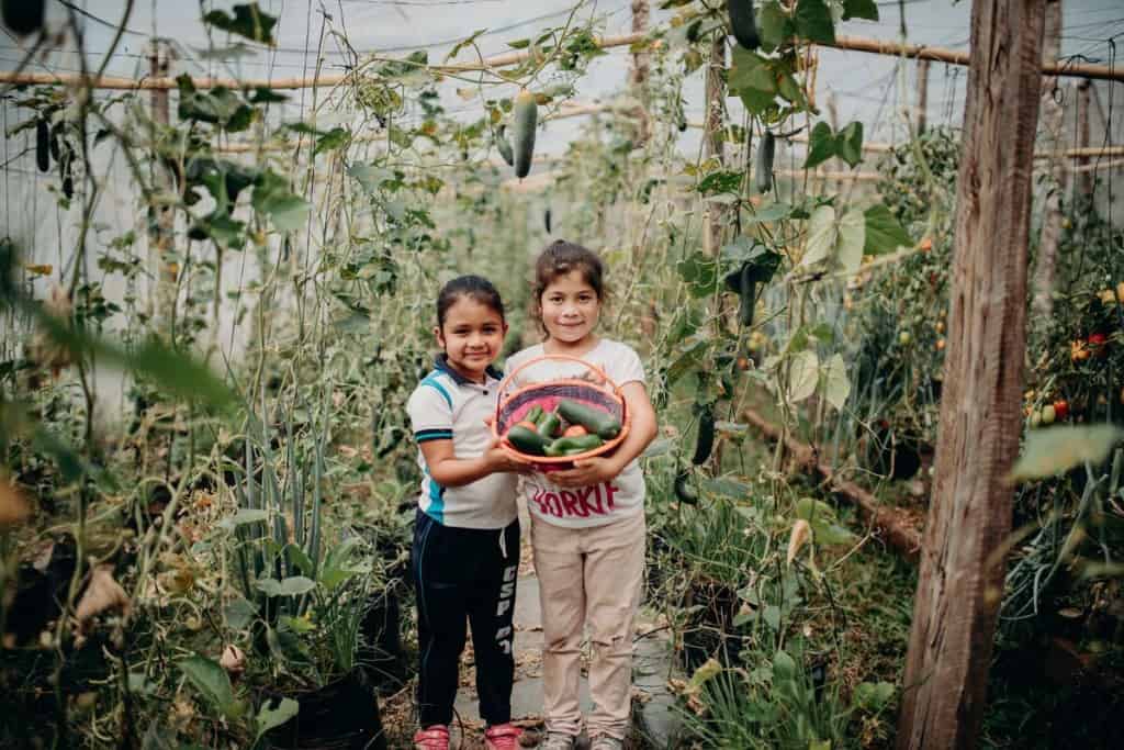 A photo of a garden in El Salvador shows children holding a basket of vegetables. They are standing in a vegetable garden
