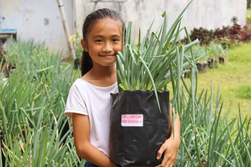 A girl holds a bundle of large green onions in her garden in Indonesia