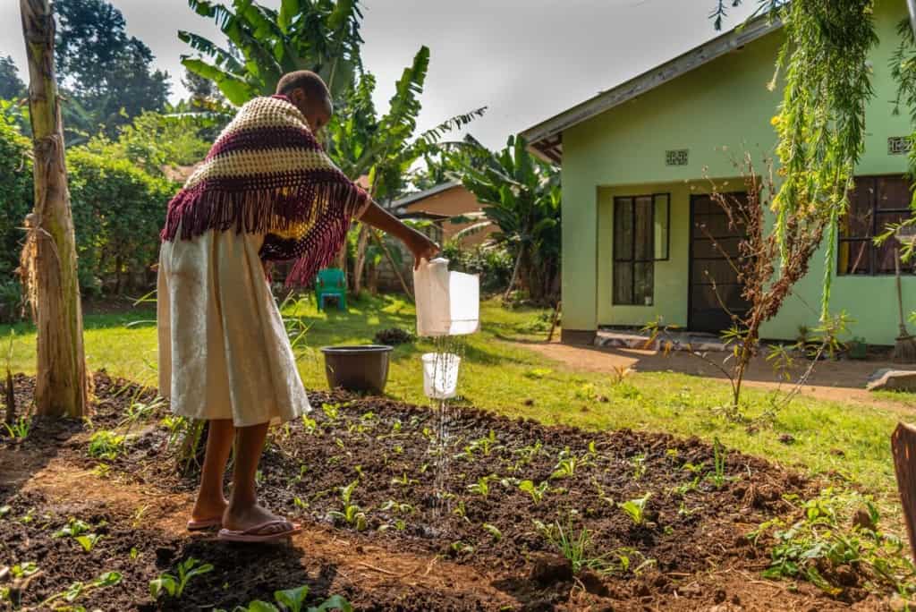 A girl wearing a shawl, dress and flip-flops uses a plastic carton with holes in the bottom to water a garden in Tanzania