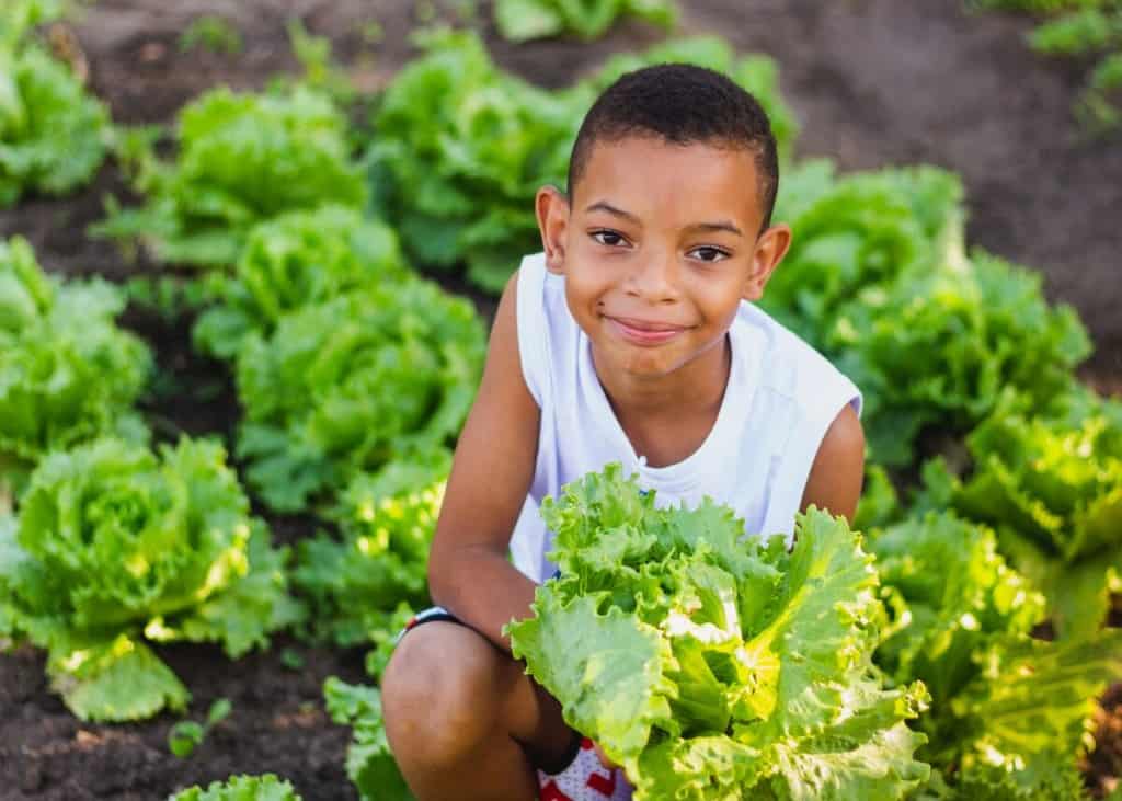 A child holds a bunch of lettuce grown in a garden in Brazil